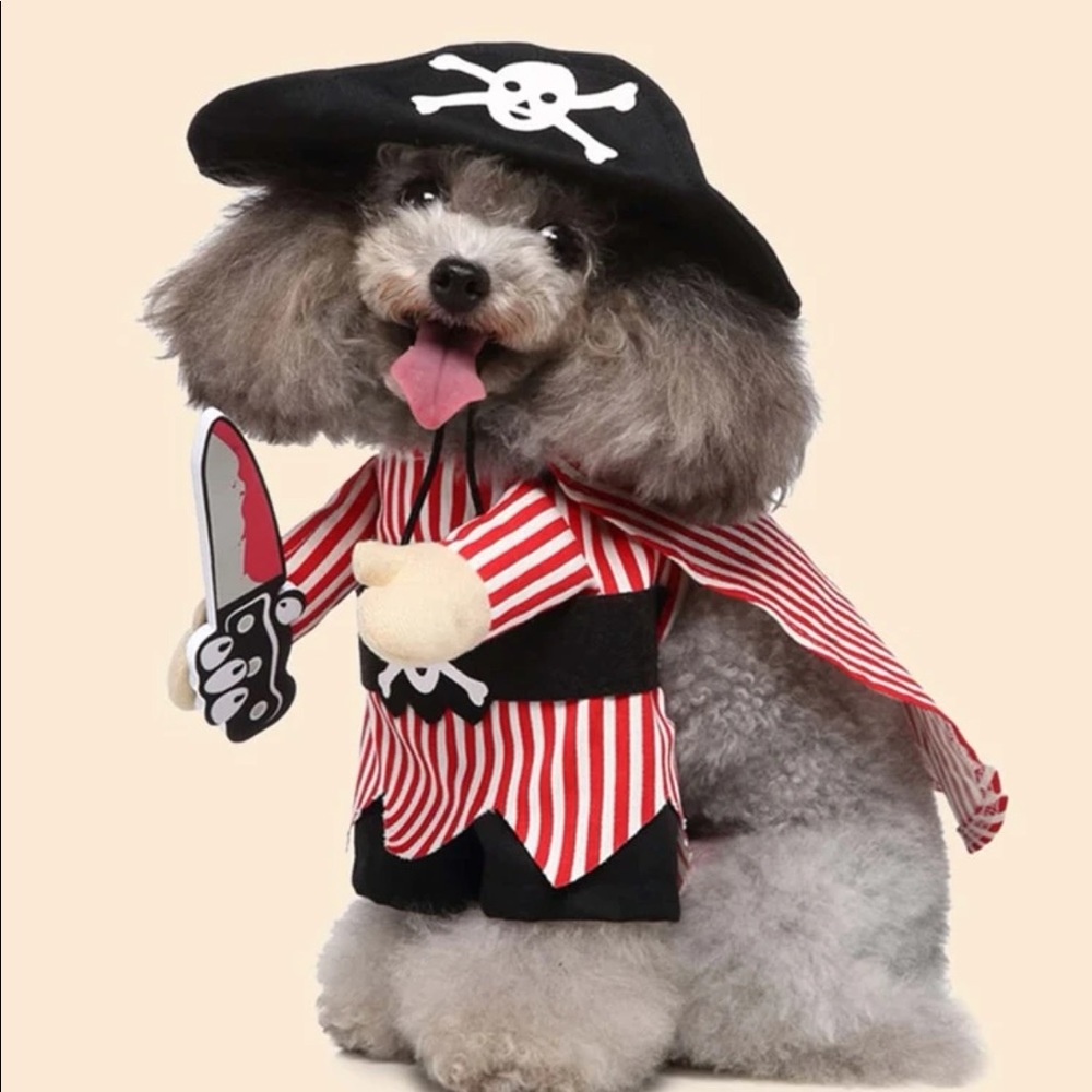 Pírate Halloween Pet Costume 🐕
